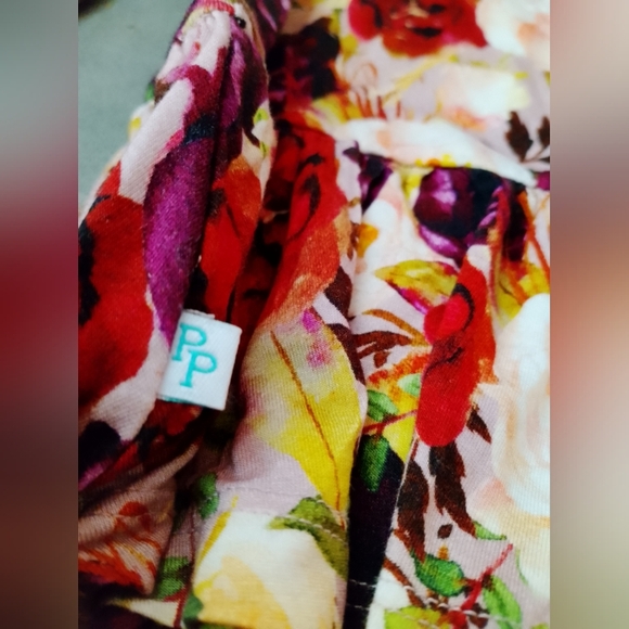 Posh Peanut 3-6 Months Floral Rose Twirl Skirt Infant Bodysuit Dress Long Sleeve - Picture 8 of 10